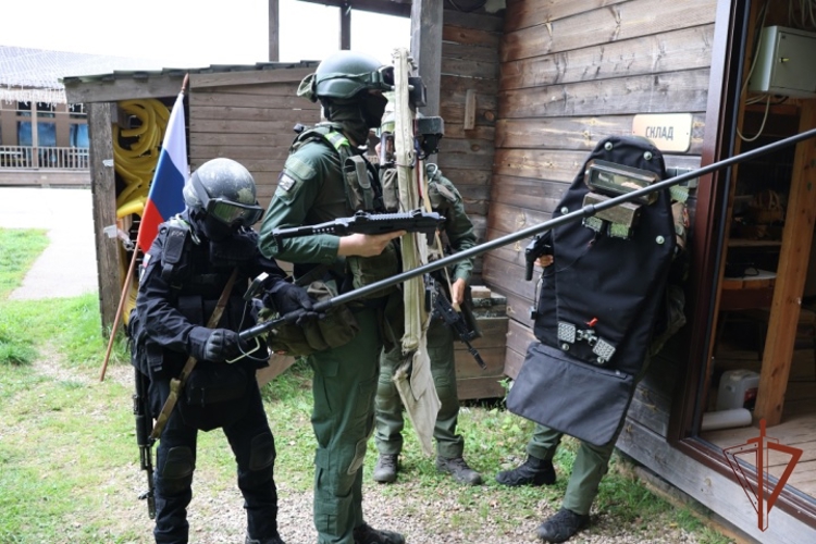 В Нижегородской области состоялся военно-патриотический фестиваль «215 лет на страже Родины» (видео)