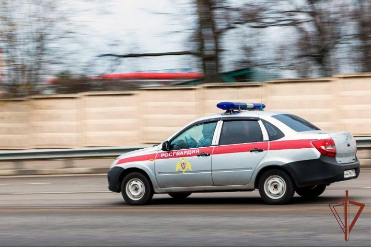Нижегородские росгвардейцы за прошедшую неделю выезжали более 500 раз по сигналу «тревога»
