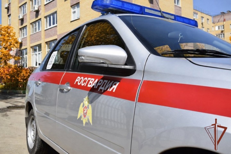 Нижегородские росгвардейцы за прошедшую неделю выезжали более 600 раз по сигналу «тревога»